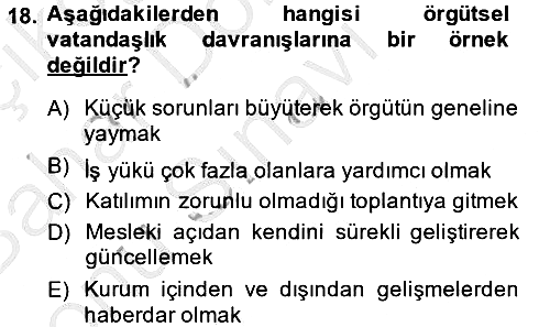 Örgütsel Davranış 2013-2014 Dönem Sonu Sınavı - 18. soru