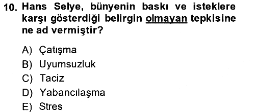 Örgütsel Davranış 2014-2015 Dönem Sonu Sınavı - 10. soru