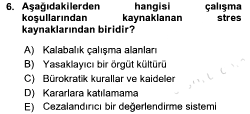 Örgütsel Davranış 2016-2017 Dönem Sonu Sınavı - 6. soru