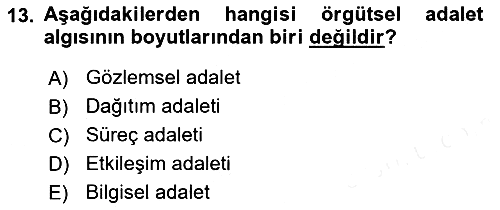 Örgütsel Davranış 2018-2019 Dönem Sonu Sınavı - 13. soru