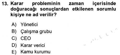 Veri Madenciliği 2018-2019 3 Ders Sınavı - 13. soru