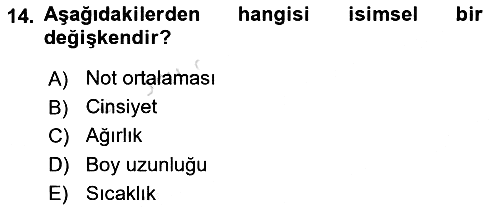 Veri Madenciliği 2024-2025 Ara Sınav - 14. soru