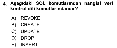 Veritabanı Programlama 2023-2024 Ara Sınav - 4. soru