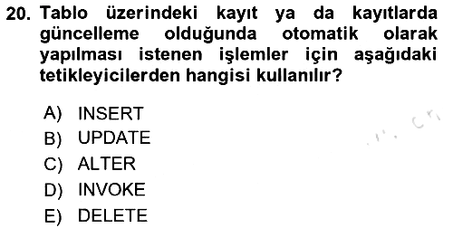 Veritabanı Programlama 2024-2025 Ara Sınav - 20. soru
