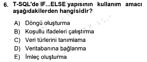 Veritabanı Programlama 2025-2026 Ara Sınav - 6. soru