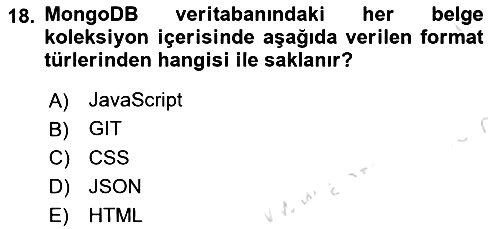 Veritabanı Programlama 2023-2024 Dönem Sonu Sınavı - 18. soru