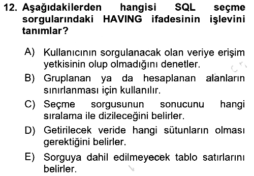 Veritabanı Sistemleri 2024-2025 Dönem Sonu Sınavı - 12. soru