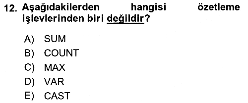Veritabanı Sistemleri 2023-2024 Yaz Okulu Sınavı - 12. soru