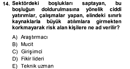 Yenilik Yönetimi 2014-2015 Ara Sınav - 14. soru