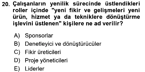 Yenilik Yönetimi 2016-2017 Ara Sınav - 20. soru