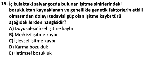 Engellilik ve Sosyal Hizmet 2025-2026 Ara Sınav - 15. soru