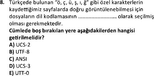 İnternet Programcılığı 1 2018-2019 Ara Sınav - 8. soru