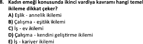 Toplumsal Eşitsizlikler 2019-2020 Dönem Sonu Sınavı - 8. soru