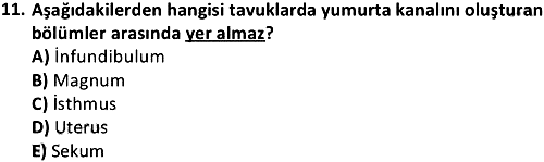 Zootekni ve Genetik 2019-2020 Bütünleme Sınavı - 11. soru