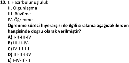 Gelişim Psikolojisi 2018-2019 Ara Sınav - 10. soru