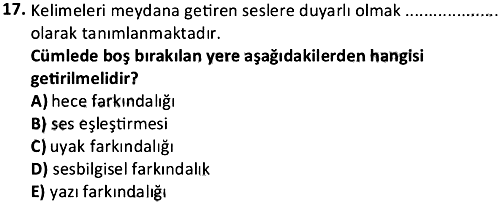 Okul Öncesi Dönemde Gelişim 2023-2024 Dönem Sonu Sınavı - 17. soru